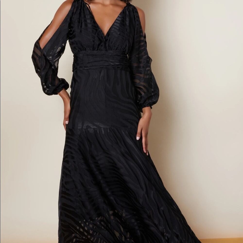 NWT Anthropologie Hutch Jac Maxi Dress Size 0 Black Zebra Burnout Whimsigoth - Picture 7 of 15